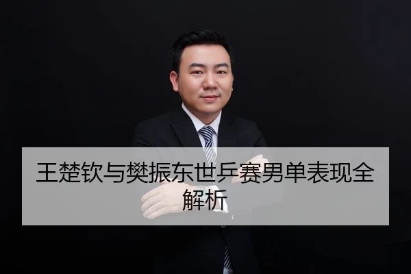 王楚钦与樊振东世乒赛男单表现全解析